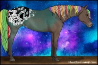 Horse Color:Painted Silver Black Appaloosa 