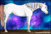 Horse Color:Gray Painted White Spotted Amber Cream Champagne Dun Appaloosa 
