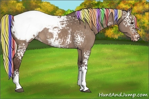 Horse Color:Painted White Spotted Silver Brown Dun Snowcap Rabicano 