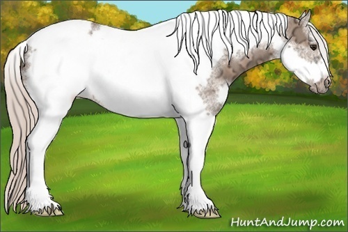 Horse Color:White Spotted Silver Bay Ice Dun Tobiano Frame 