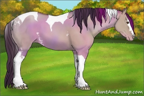 Horse Color:White Spotted Classic Champagne Dun Tobiano 