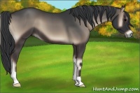 Horse Color:Blue Onyx 