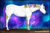 Horse Color:Gray Painted Liver Chestnut Ice Tobiano Rabicano 