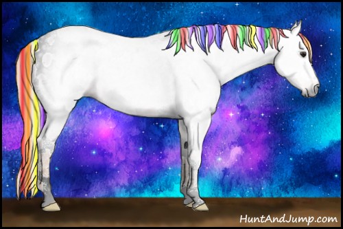 Horse Color:Gray Painted Silver Bay Ice Tobiano Appaloosa 