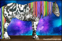 Horse Color:Painted White Spotted Silver Classic Champagne Ice Dun Splash Appaloosa