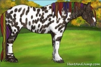 Horse Color:Painted Liver Red Dun Ice Appaloosa 