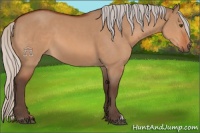 Horse Color:Silver Bay Dun