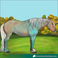 Horse Color:Silver Brown Dun 