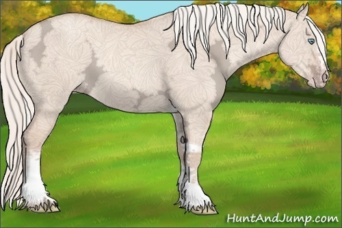 Horse Color:White Spotted Gold Champagne Ice Dun Tobiano Rabicano