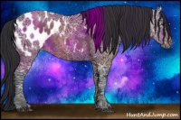 Horse Color:Brown Ice Appaloosa 