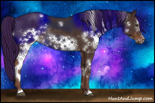 Horse Color:White Spotted Liver Chestnut Frame Rabicano