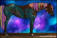 Horse Color:Painted White Spotted Midnight Silver Brown Rabicano 