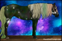 Horse Color:White Spotted Midnight Liver Chestnut Rabicano 