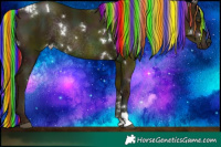 Horse Color:Painted White Spotted Midnight Liver Chestnut Pearl Rabicano 
