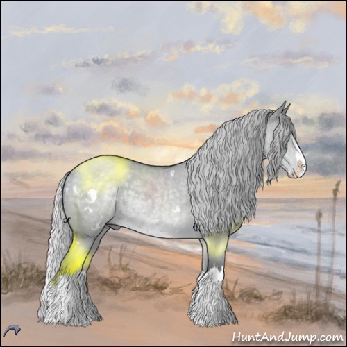 Horse Color:White Spotted Silver Grullo Chinchilla Roan Splash 