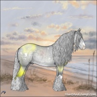 Horse Color:White Spotted Silver Grullo Chinchilla Roan Splash 