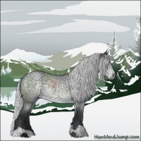 Horse Color:Silver Blue Chinchilla Roan 