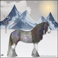 Horse Color:Nacre Black Chinchilla Sabino Splash Rabicano 