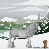 Horse Color:Silver Grullo Chinchilla Roan Splash 