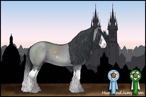 Horse Color:Grullo Chinchilla Sabino Splash