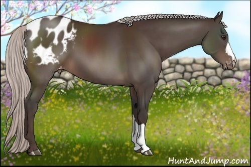 Horse Color:Silver Brown Blanket 