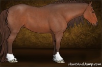 Horse Color:Liver Red Roan 