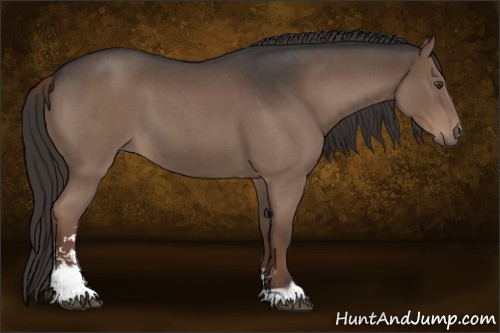 Horse Color:Liver Red Roan Sabino 