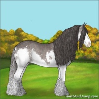 Horse Color:Platinum Liver Chestnut Sabino Splash Varnish 