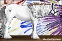 Horse Color:Gray Brown Tobiano 