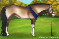 Horse Color:Brown Onyx 