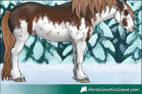 Horse Color:White Spotted Liver Chestnut 