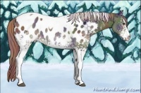 Horse Color:Nacre White Spotted Liver Chestnut Tobiano Blanket 