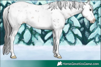Horse Color:White Spotted Brown Sabino Splash Blanket 
