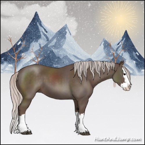 Horse Color:Silver Black Sabino Splash 
