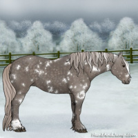 Horse Color:White Spotted Silver Black 