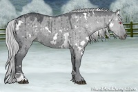 Horse Color:White Spotted Silver Grullo Chinchilla Sabino Brindle