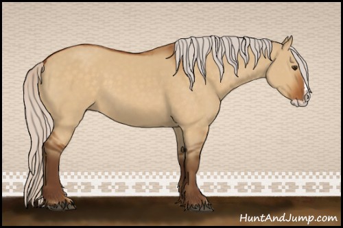 Horse Color:Silver Buckskin Dun Splash Rabicano 