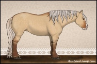 Horse Color:Silver Buckskin Dun Splash Rabicano 