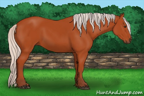 Horse Color:Silver Bay Sabino 