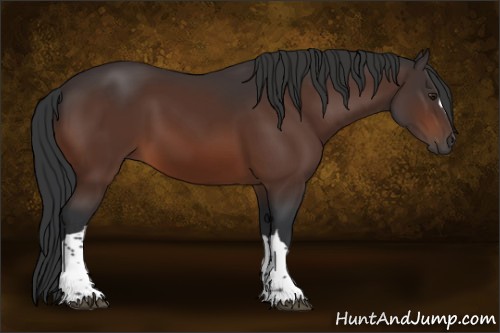 Horse Color:Brown 