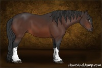 Horse Color:Brown 