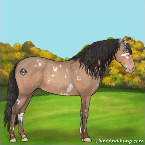 Horse Color:White Spotted Sable Champagne