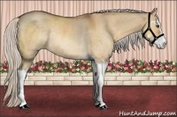 Horse Color:Silver Buckskin Dun Sabino Rabicano