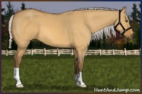 Horse Color:Silver Buckskin Dun 