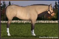 Horse Color:Buckskin Dun Rabicano 