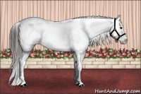Horse Color:Smoky Grullo Sabino 