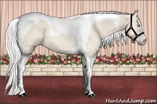 Horse Color:Silver Perlino Tobiano 