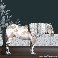 Horse Color:White Spotted Bay Dun