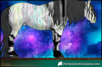 Horse Color:Grullo Ice Tobiano Rabicano