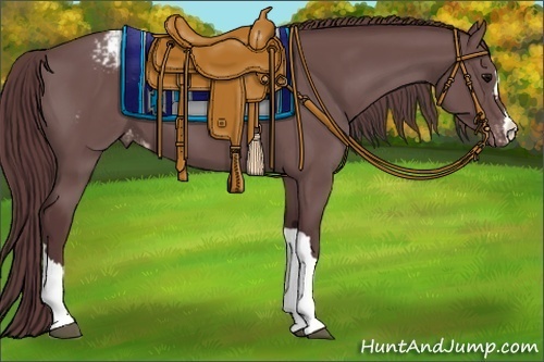 Horse Color:Chocolate Black Appaloosa 